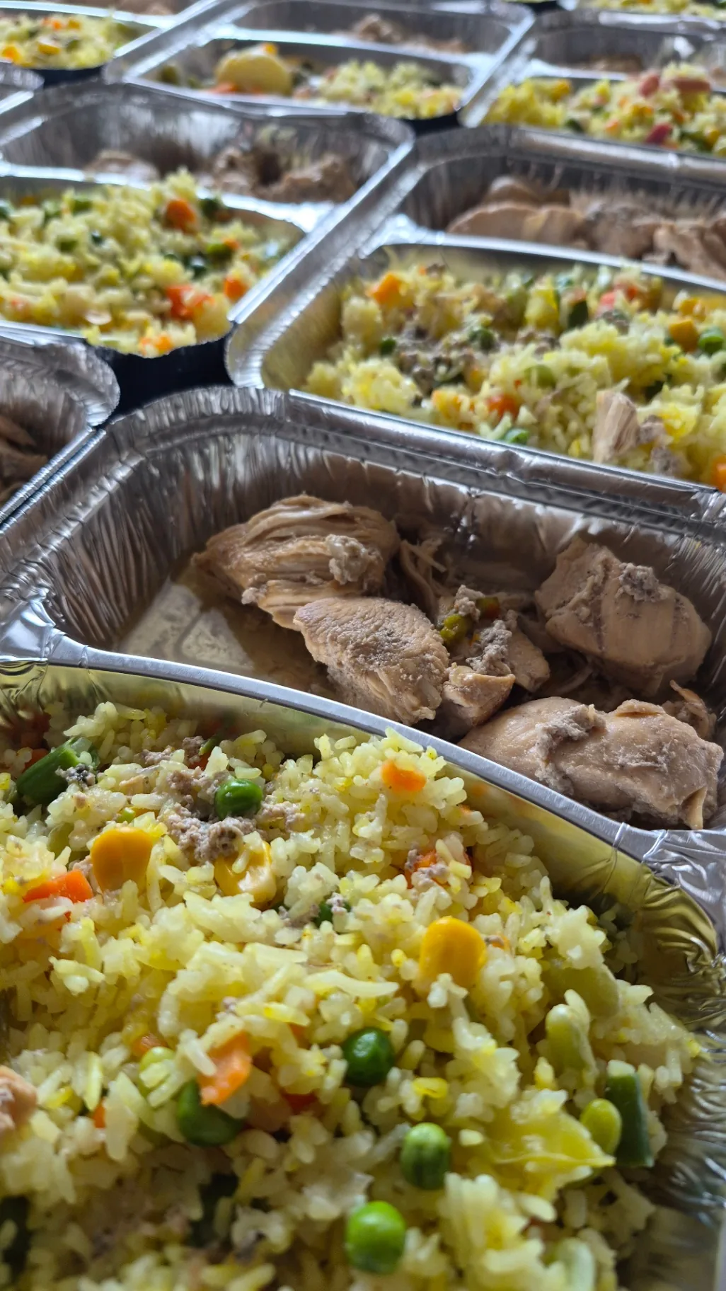 Riz aux légumes et poulet en sauce